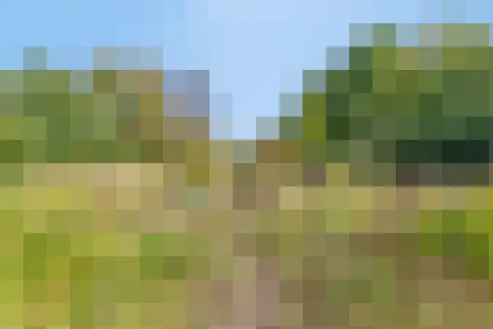 Haarveen 28 Foxwolde thumbnail 65