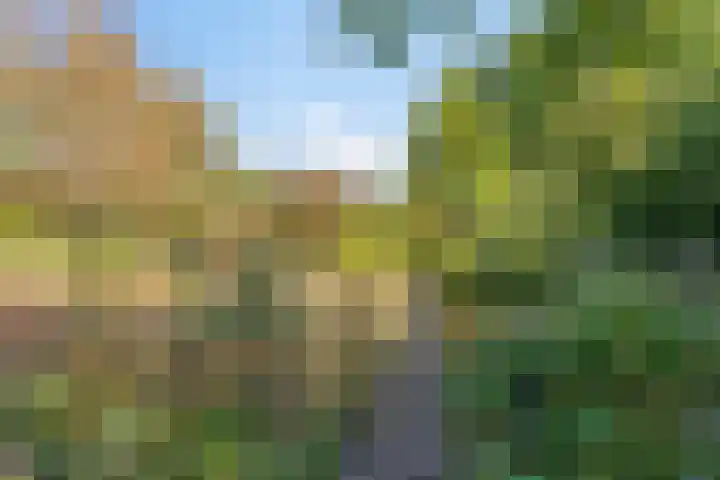 Haarveen 28 Foxwolde thumbnail 66