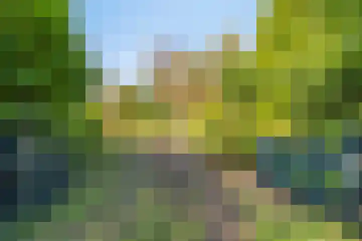 Haarveen 28 Foxwolde thumbnail 69