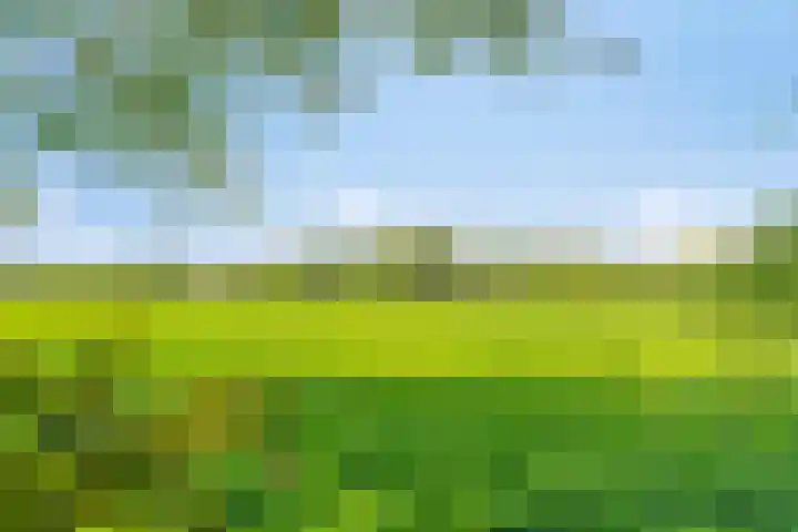 Haarveen 28 Foxwolde thumbnail 71