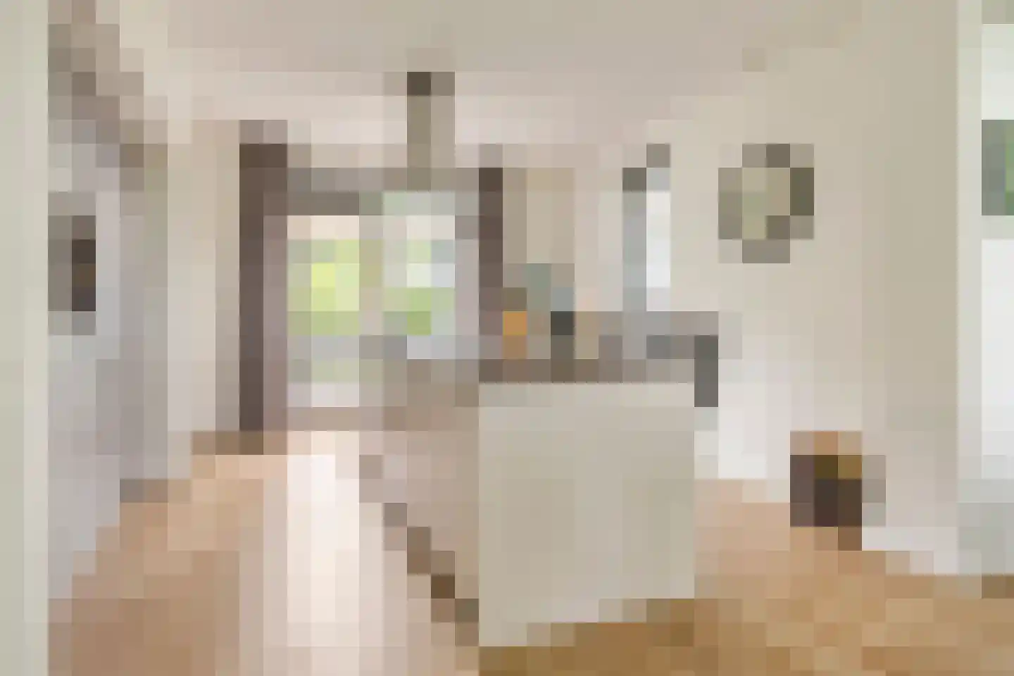 Haarweg 1 e Gorinchem thumbnail 10