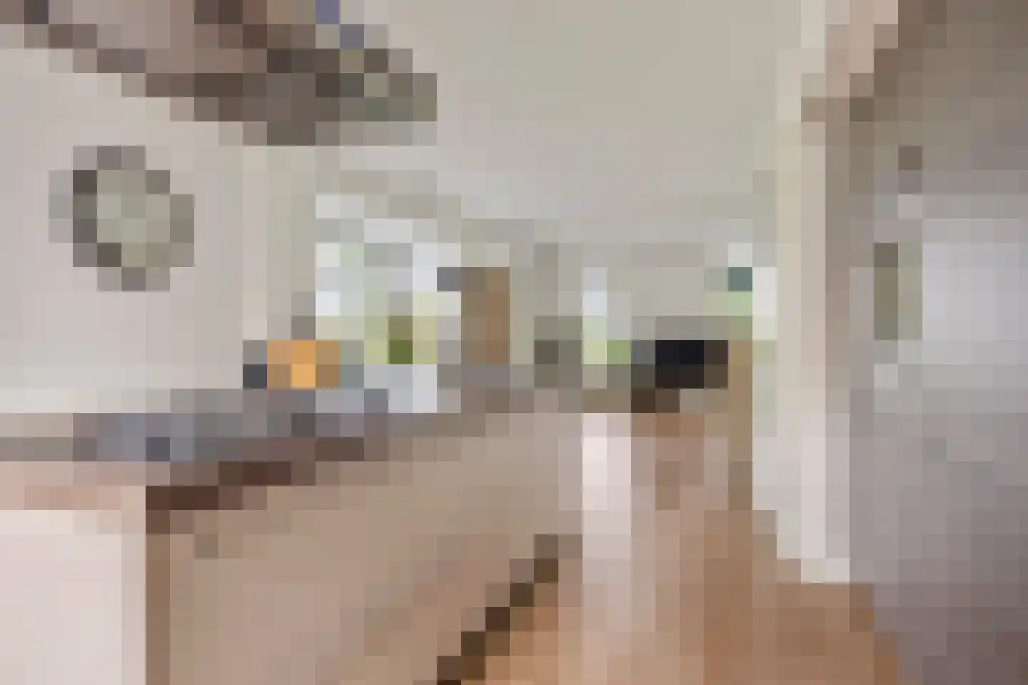 Haarweg 1 e Gorinchem thumbnail 13