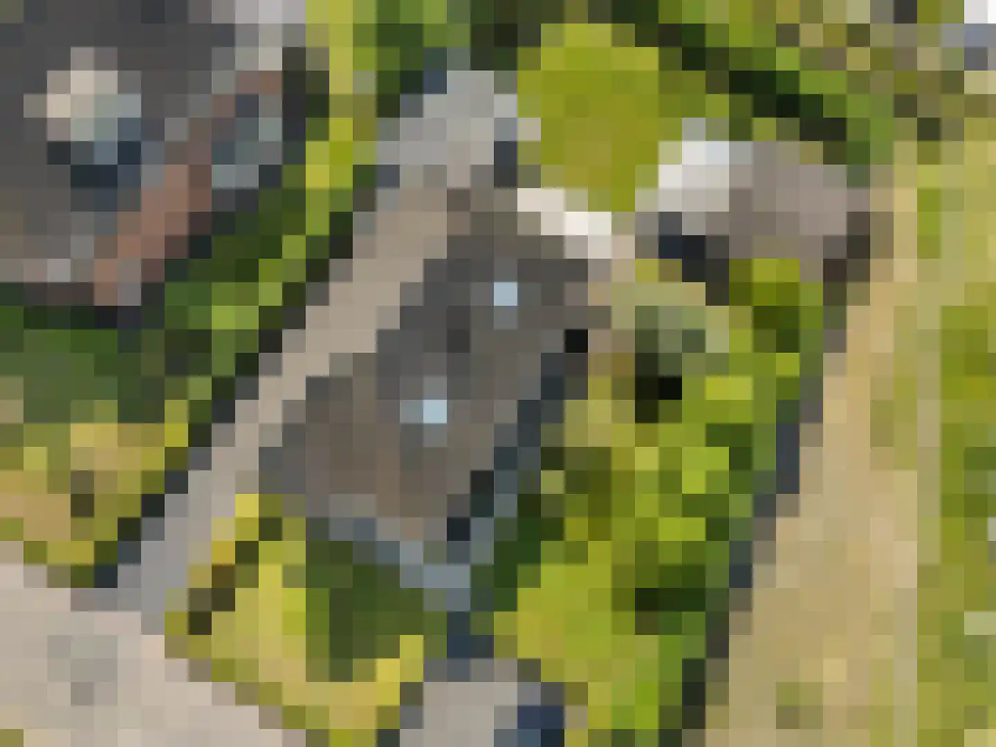 Haarweg 1 e Gorinchem thumbnail 43