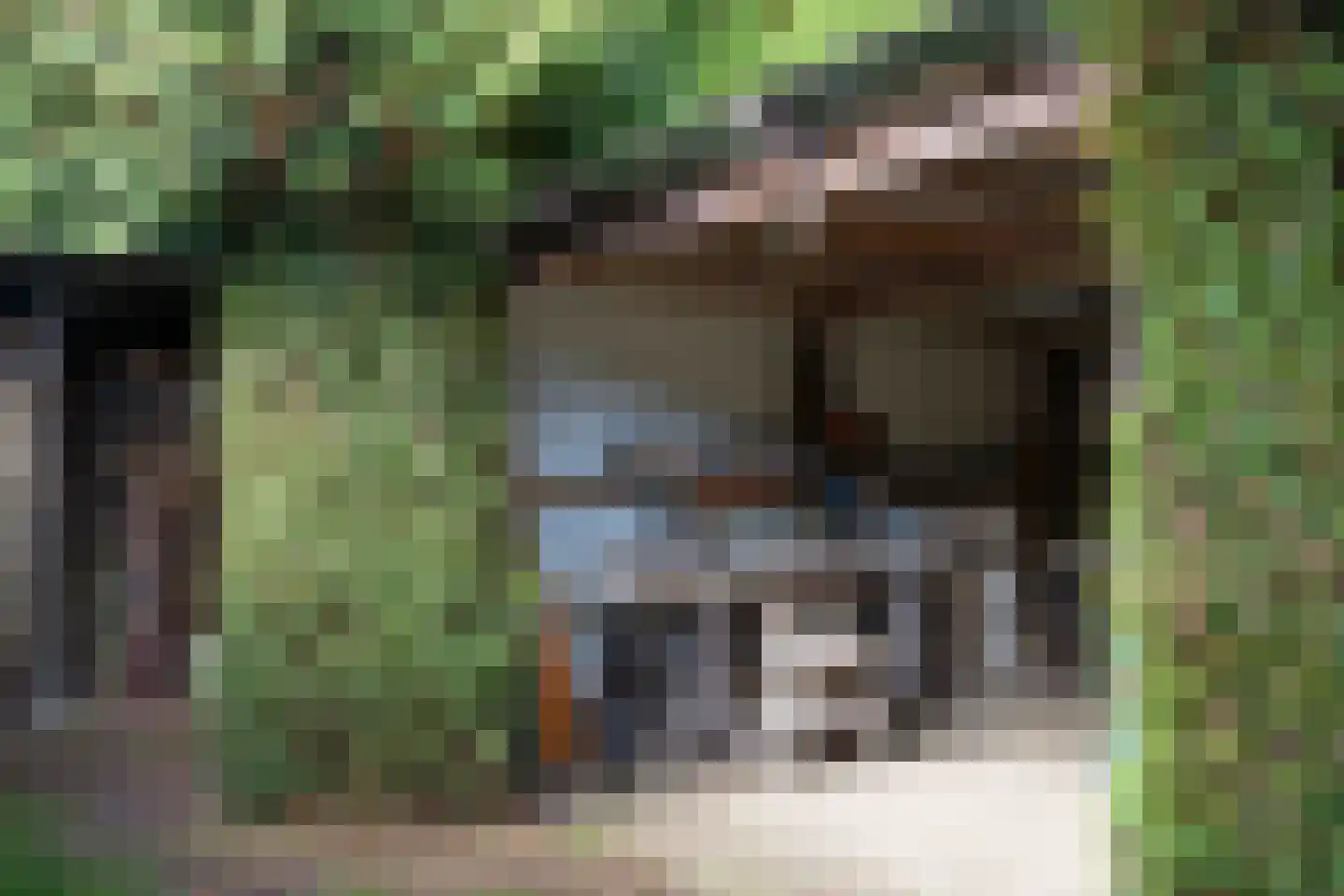 Haarweg 10 Heino thumbnail 21
