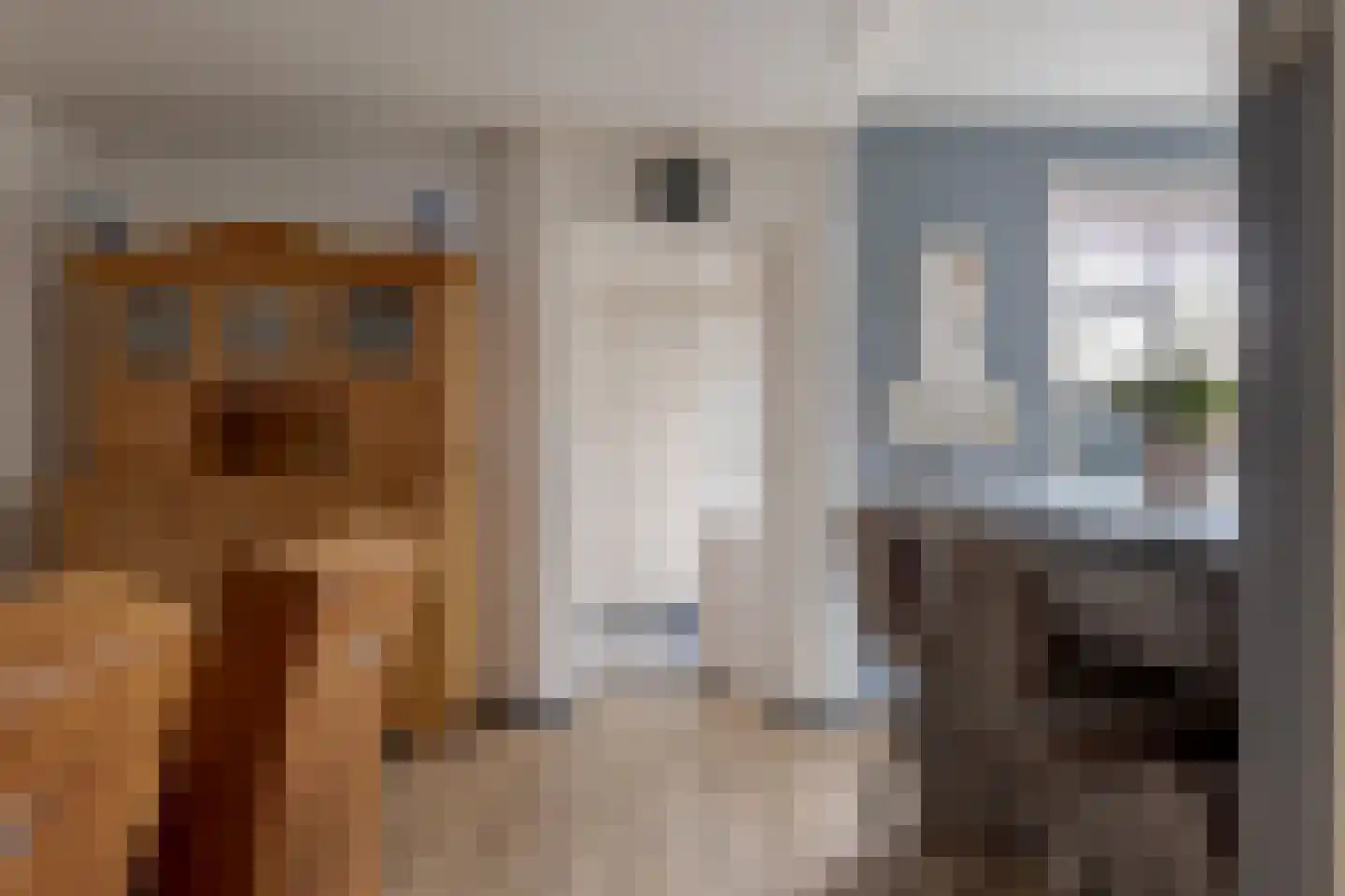 Haarweg 11 Nieuw-Balinge thumbnail 11