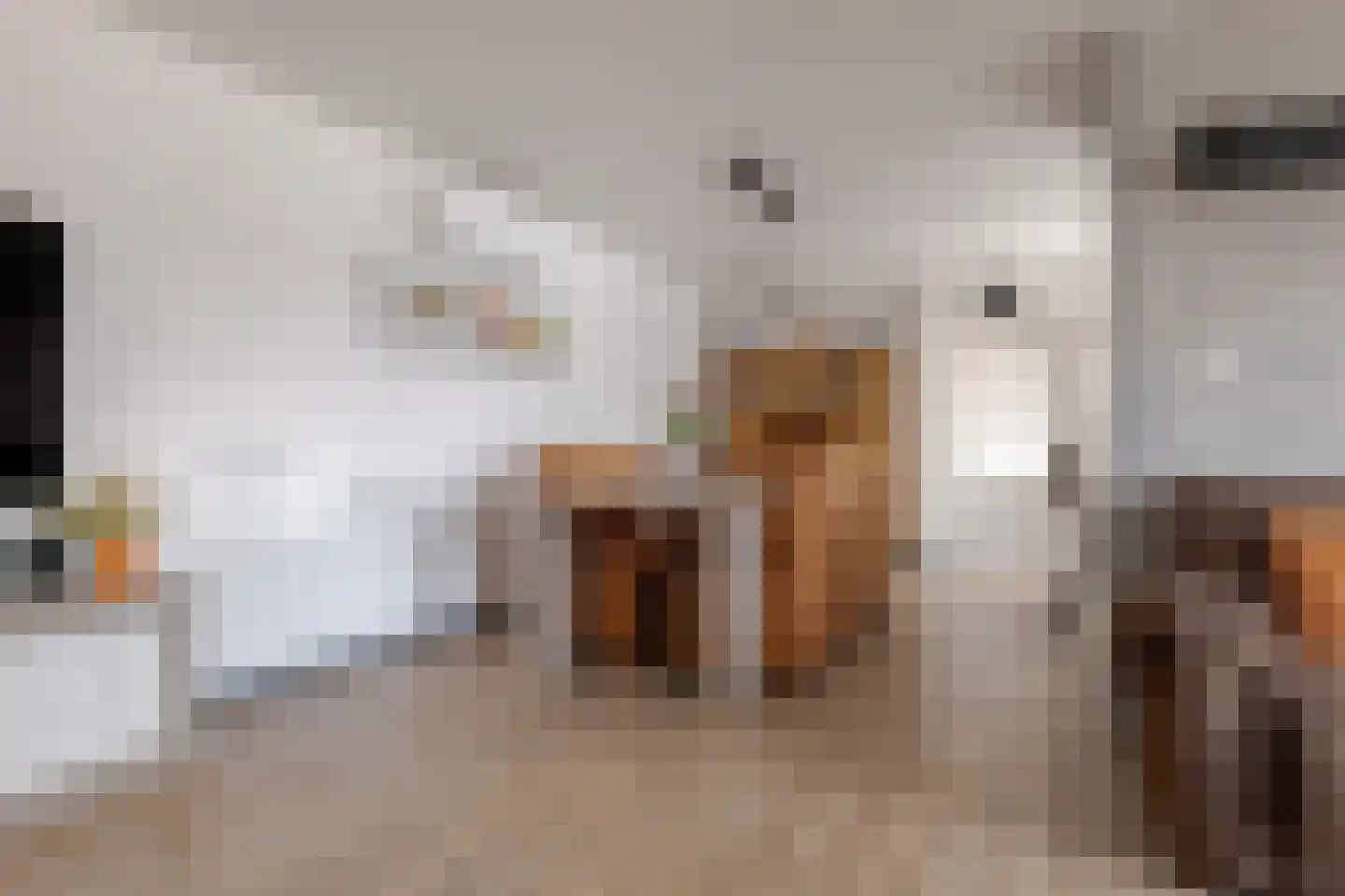 Haarweg 11 Nieuw-Balinge thumbnail 17