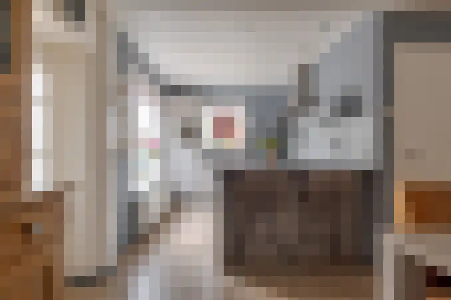 Haarweg 11 Nieuw-Balinge thumbnail 20