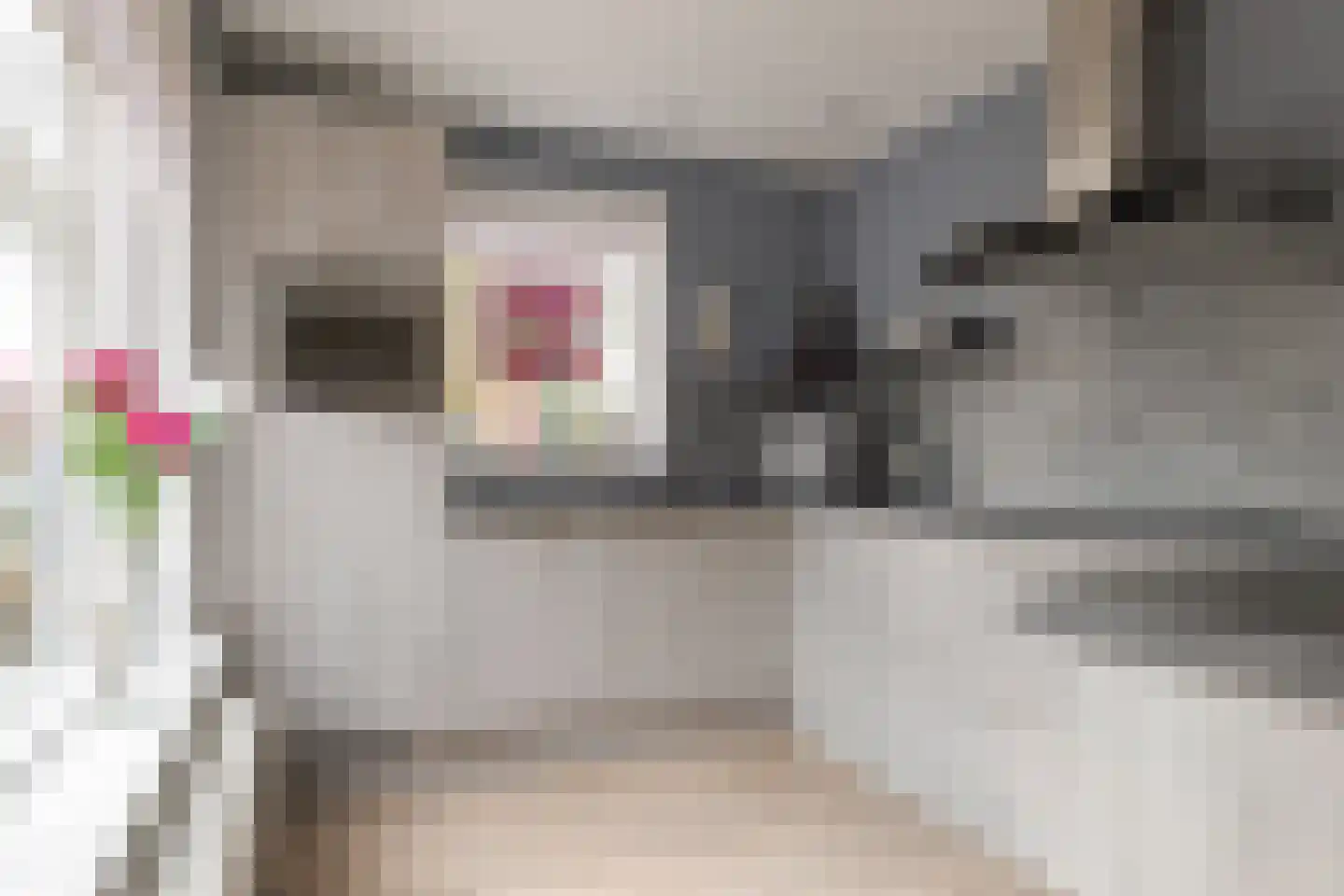 Haarweg 11 Nieuw-Balinge thumbnail 21