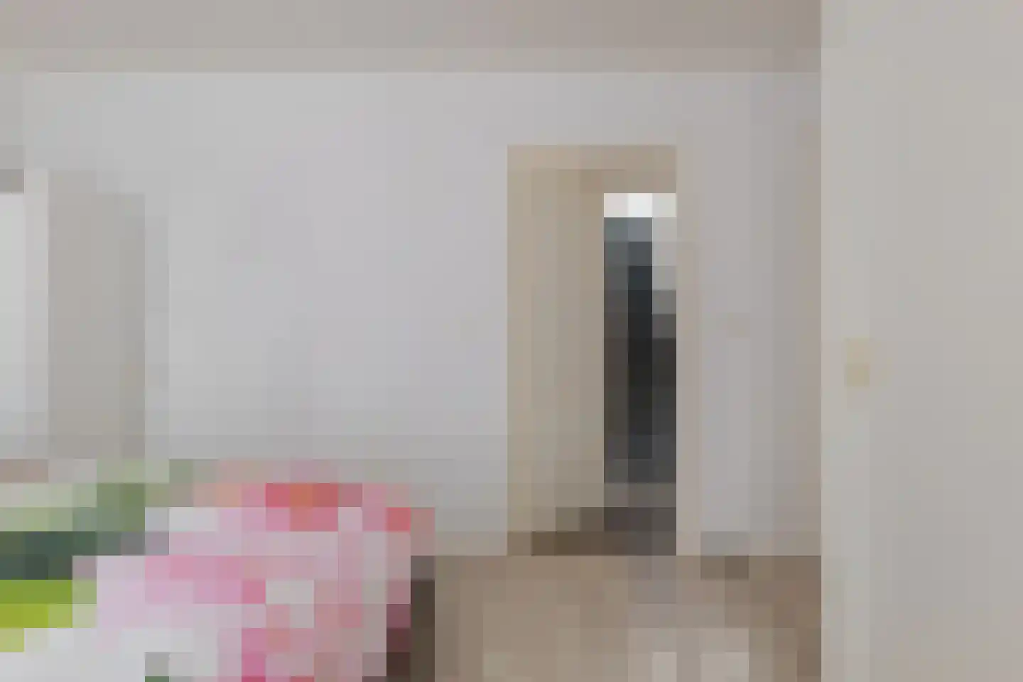 Haarweg 11 Nieuw-Balinge thumbnail 29