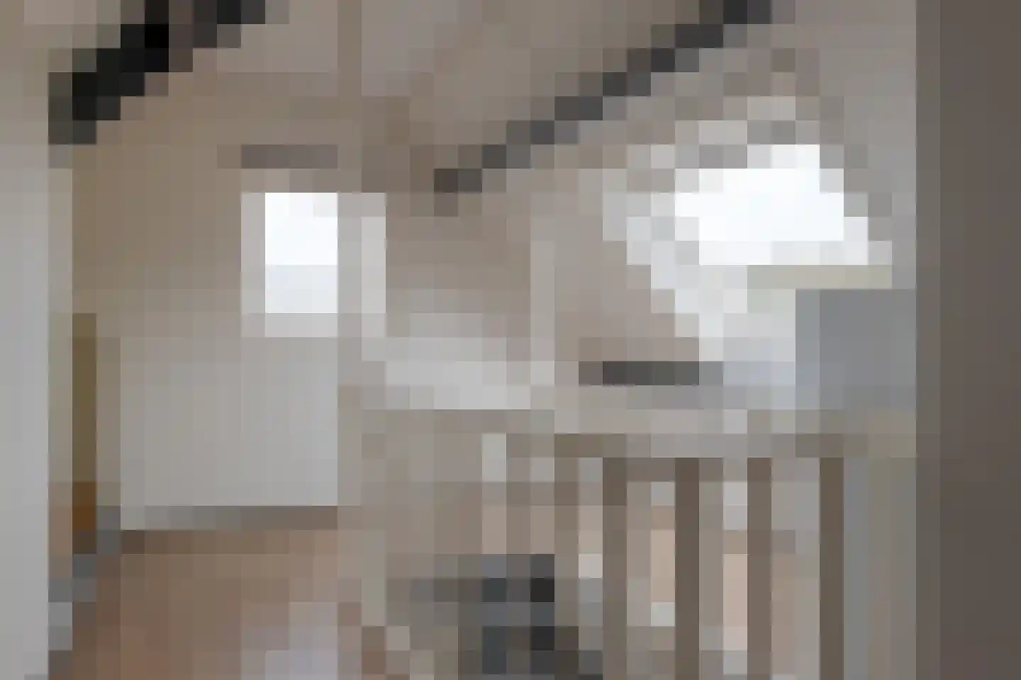 Haarweg 11 Nieuw-Balinge thumbnail 35