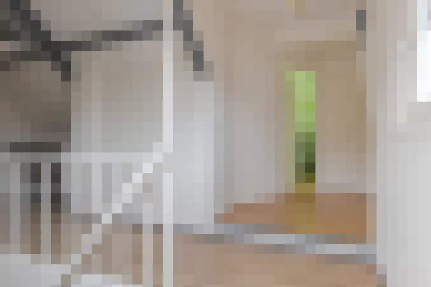 Haarweg 11 Nieuw-Balinge thumbnail 40