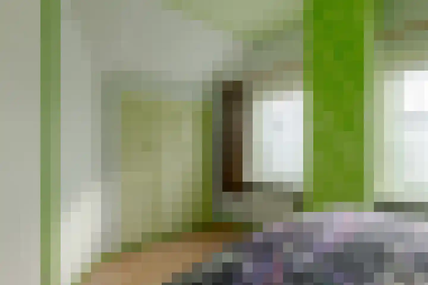 Haarweg 11 Nieuw-Balinge thumbnail 41