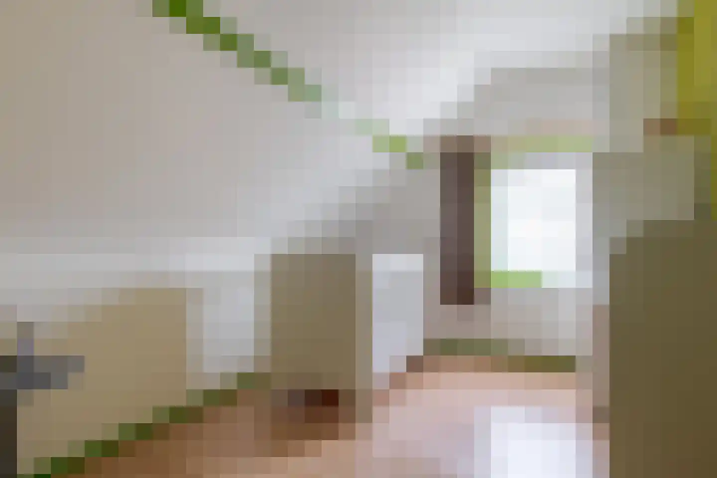 Haarweg 11 Nieuw-Balinge thumbnail 44