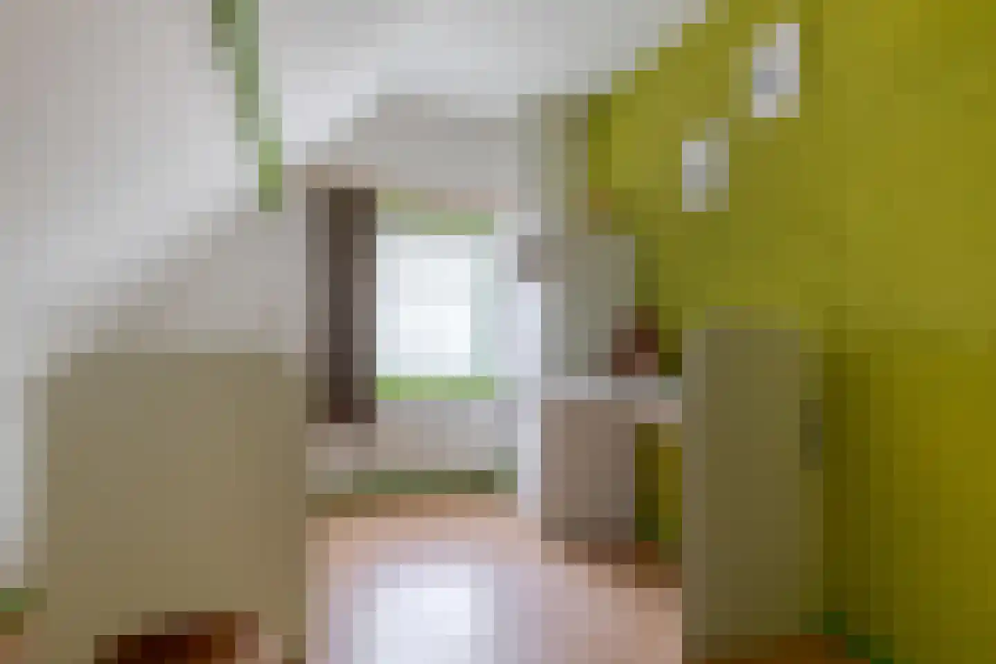 Haarweg 11 Nieuw-Balinge thumbnail 45