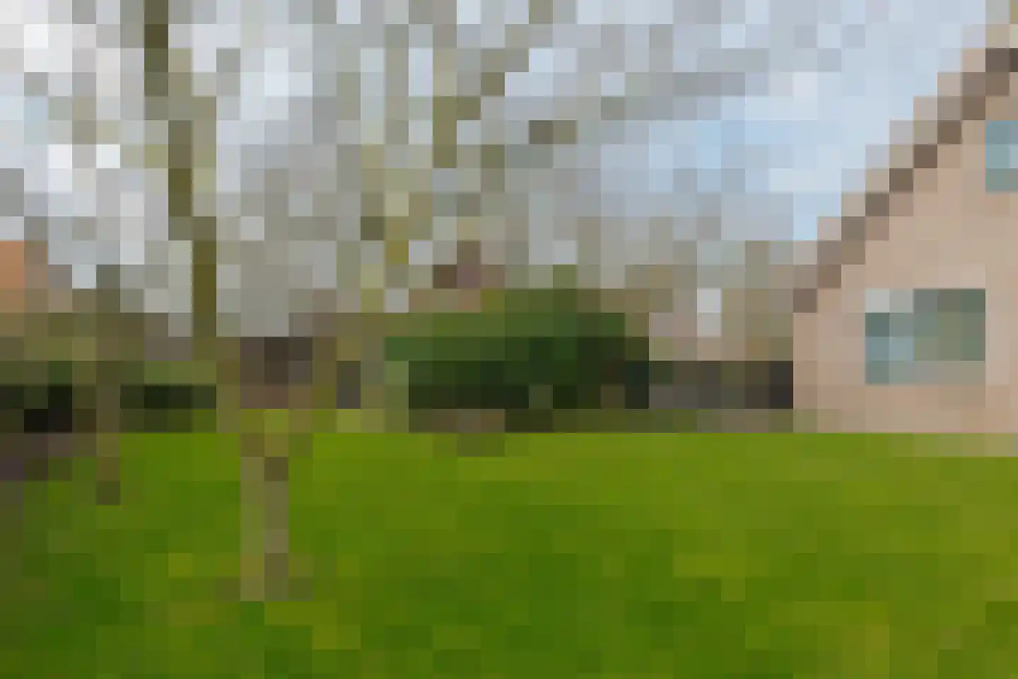 Haarweg 11 Nieuw-Balinge thumbnail 51