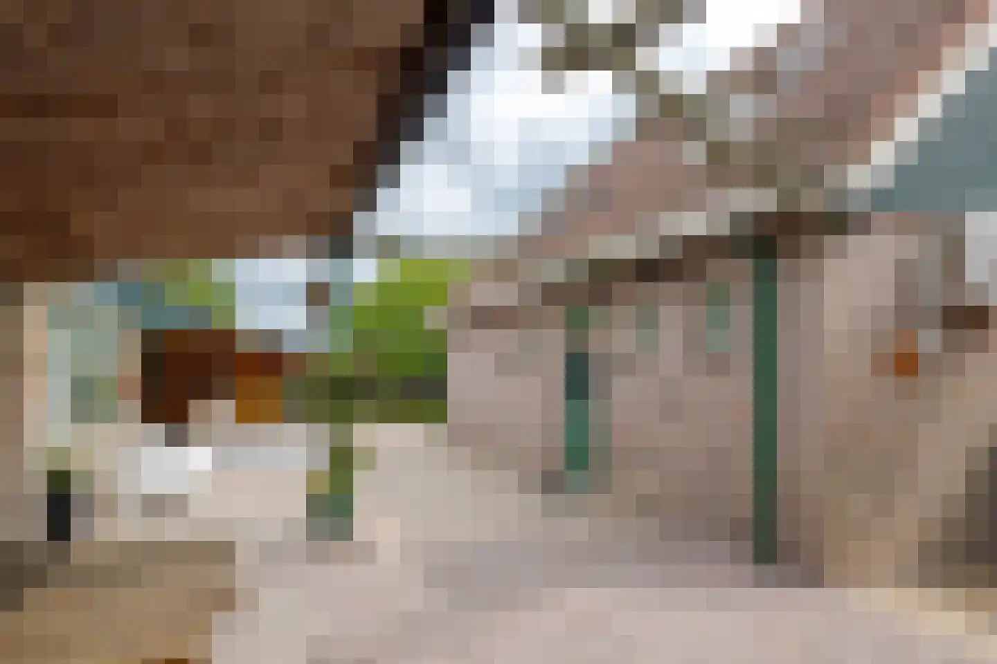 Haarweg 11 Nieuw-Balinge thumbnail 52
