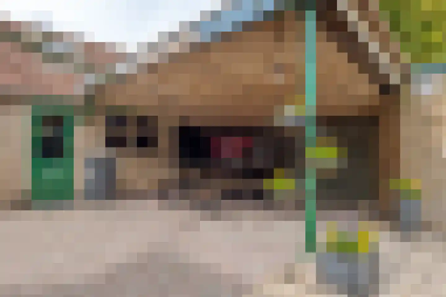Haarweg 11 Nieuw-Balinge thumbnail 53