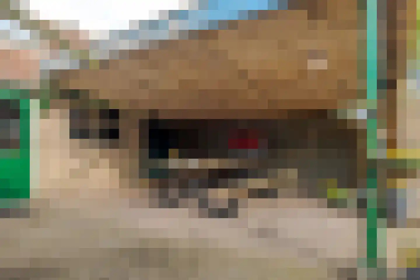 Haarweg 11 Nieuw-Balinge thumbnail 59