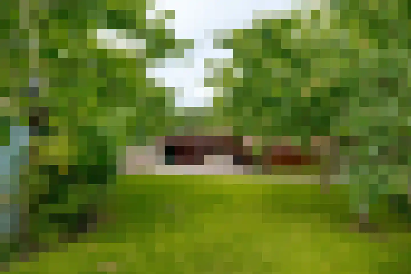 Haarweg 11 Nieuw-Balinge thumbnail 61