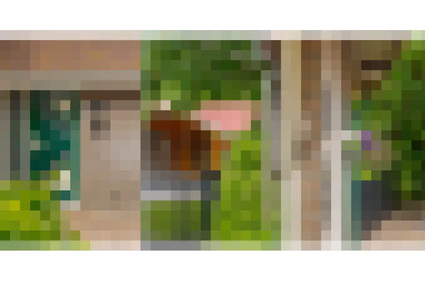 Haarweg 11 Nieuw-Balinge thumbnail 8