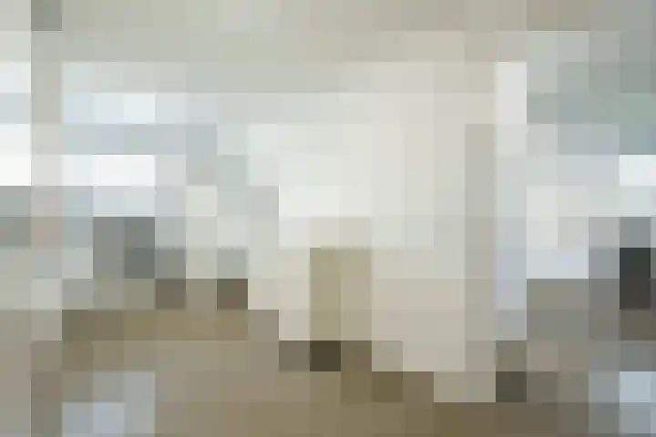 Haarweg 12 C Wageningen thumbnail 19