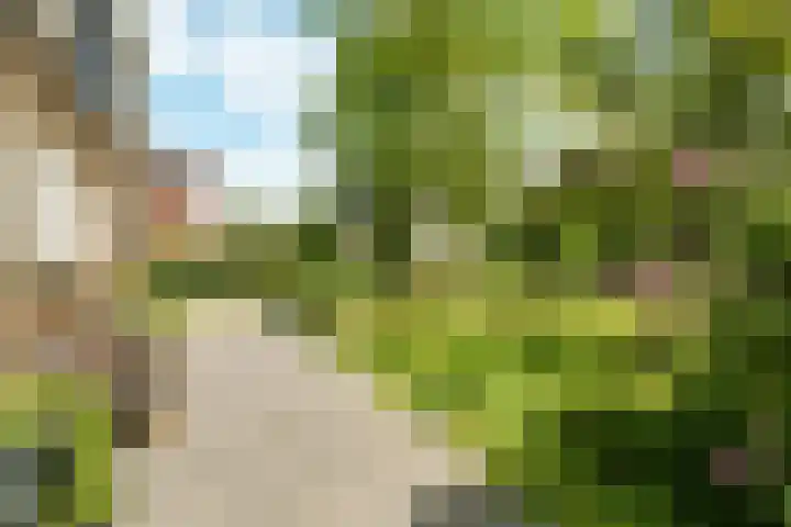 Haarweg 12 C Wageningen thumbnail 34