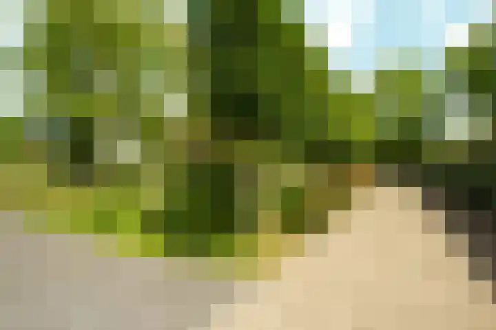 Haarweg 12 C Wageningen thumbnail 36