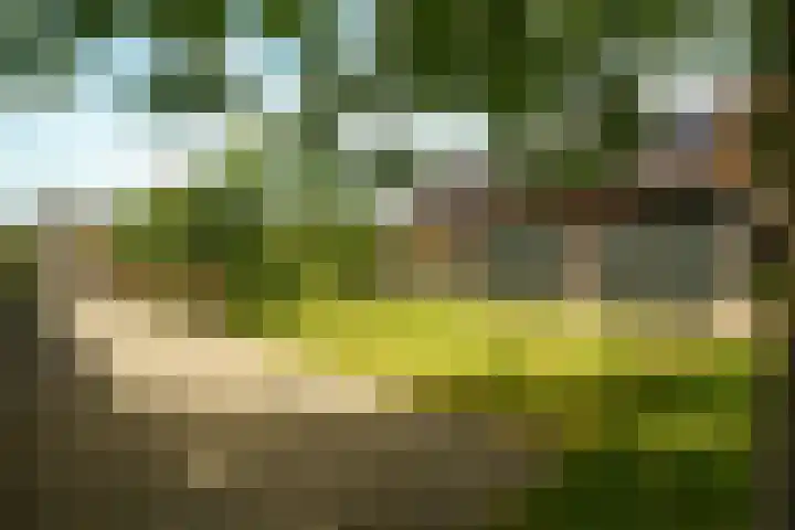 Haarweg 12 C Wageningen thumbnail 37
