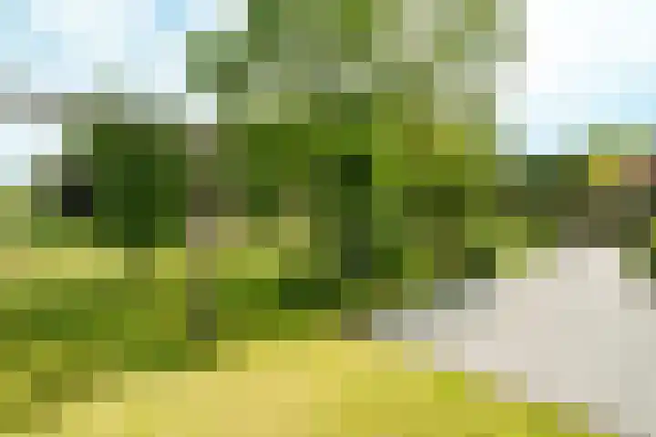 Haarweg 12 C Wageningen thumbnail 38