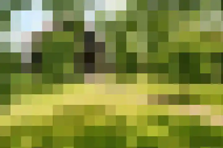 Haarweg 12 C Wageningen thumbnail 39