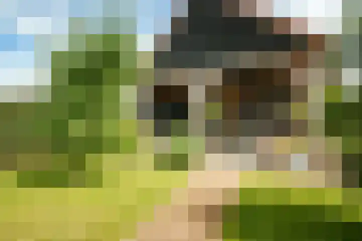 Haarweg 12 C Wageningen thumbnail 40