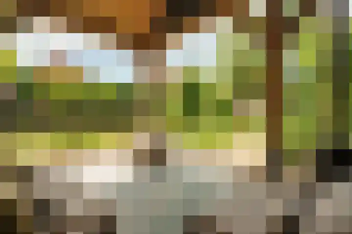 Haarweg 12 C Wageningen thumbnail 41