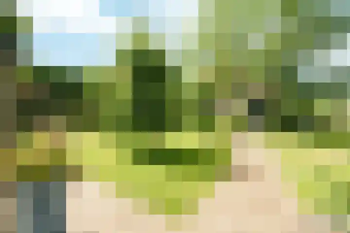Haarweg 12 C Wageningen thumbnail 42