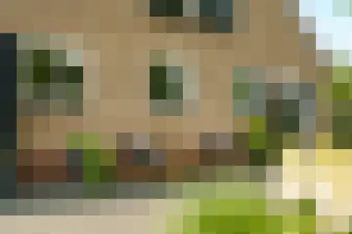 Haarweg 12 C Wageningen thumbnail 43