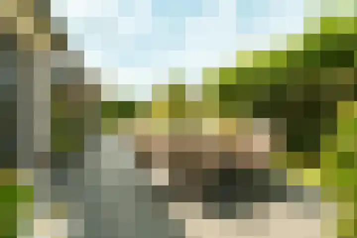Haarweg 12 C Wageningen thumbnail 46