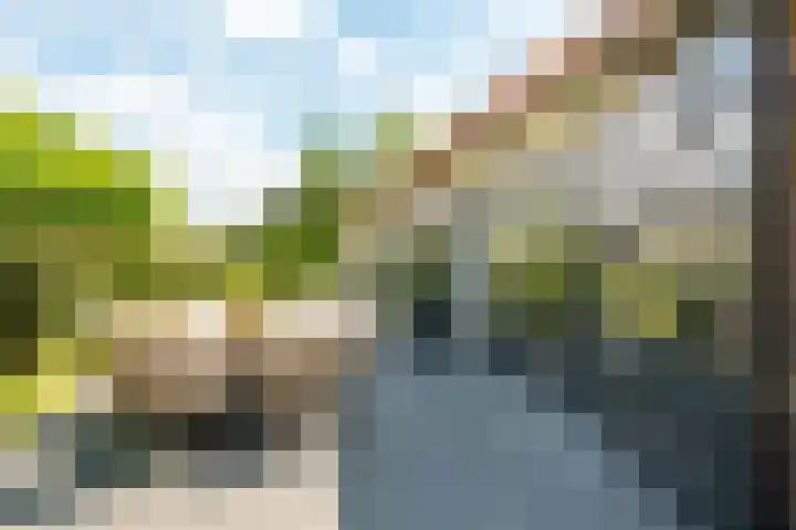 Haarweg 12 C Wageningen thumbnail 47