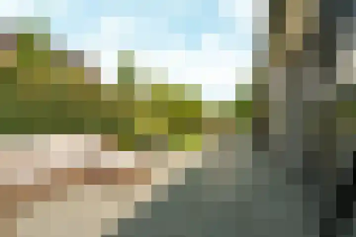 Haarweg 12 C Wageningen thumbnail 49