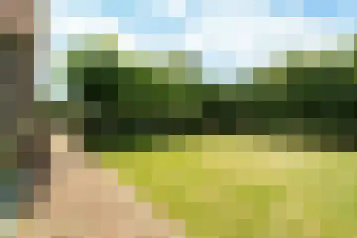 Haarweg 12 C Wageningen thumbnail 50