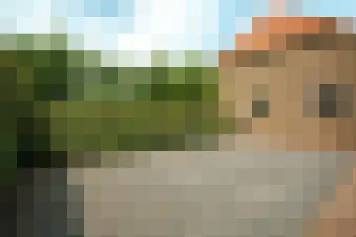 Haarweg 12 C Wageningen thumbnail 51