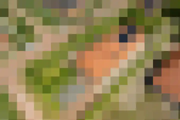 Haarweg 12 C Wageningen thumbnail 53