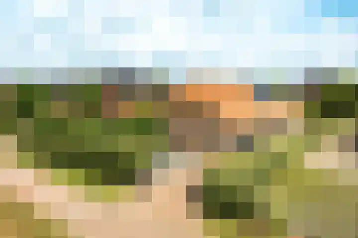 Haarweg 12 C Wageningen thumbnail 58