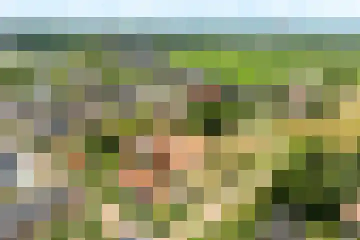 Haarweg 12 C Wageningen thumbnail 59