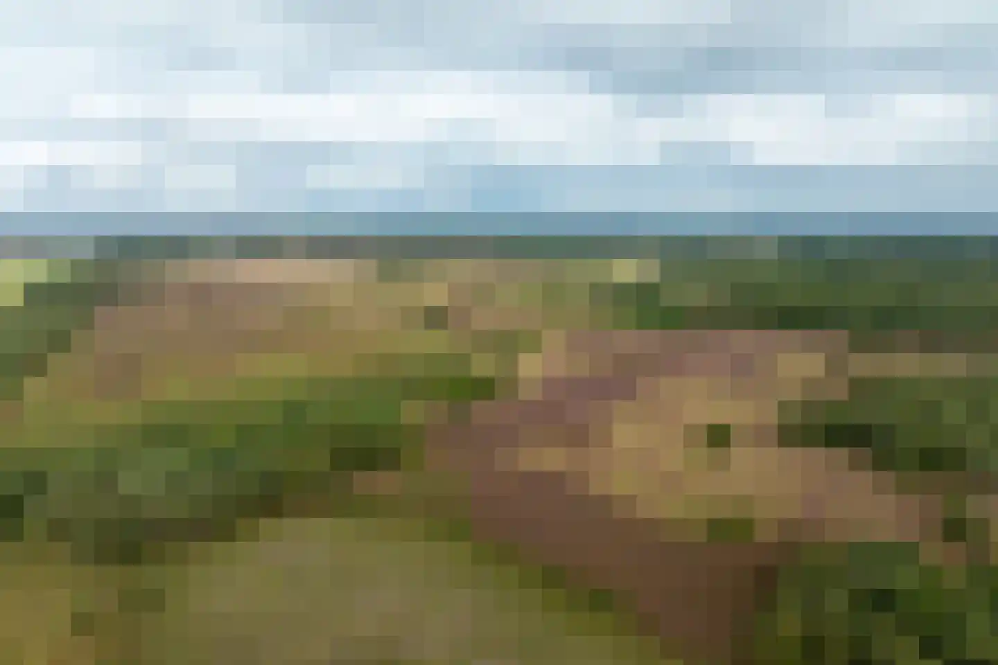 Haarweg 14 Tiendeveen thumbnail 101