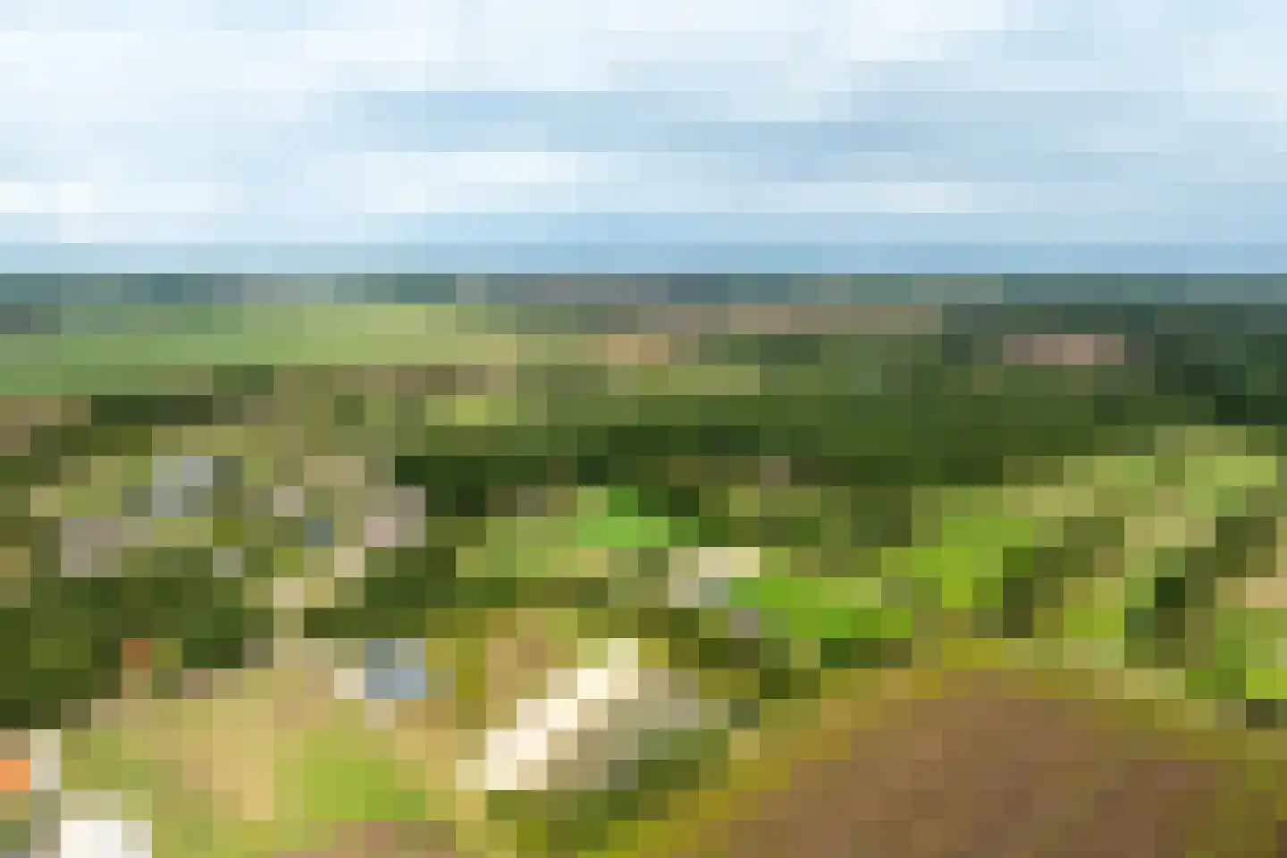 Haarweg 14 Tiendeveen thumbnail 103