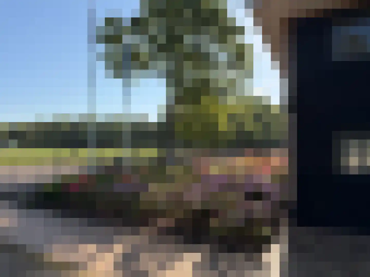 Haarweg 14 Tiendeveen thumbnail 12