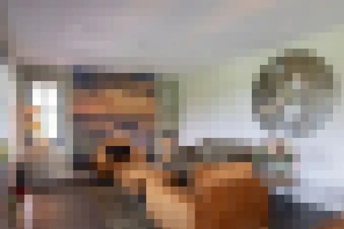 Haarweg 14 Tiendeveen thumbnail 14
