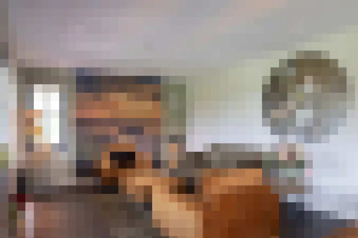 Haarweg 14 Tiendeveen thumbnail 15