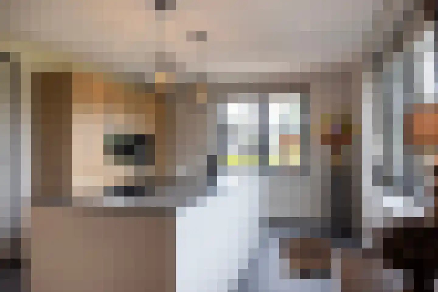 Haarweg 14 Tiendeveen thumbnail 16