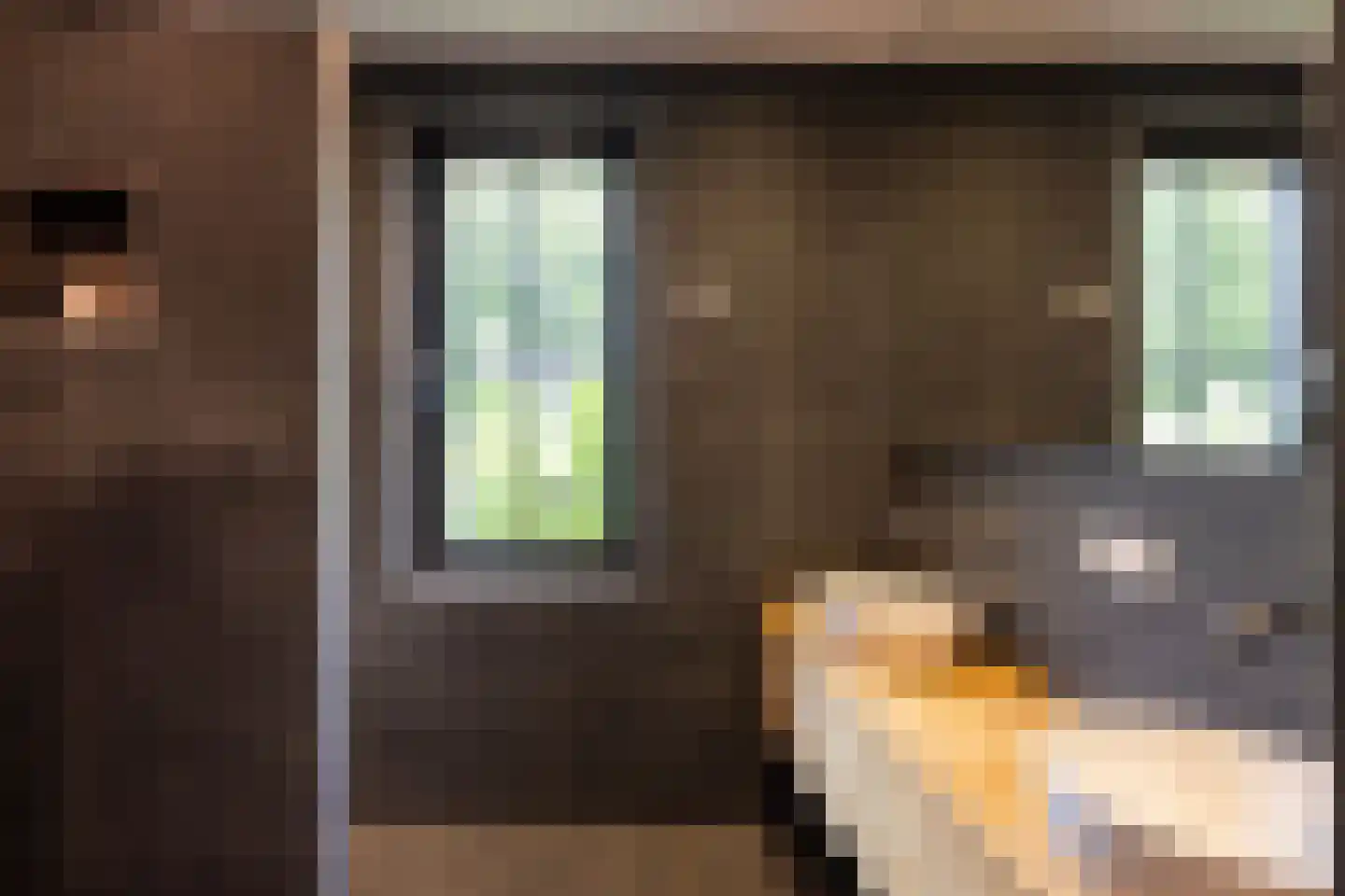 Haarweg 14 Tiendeveen thumbnail 19