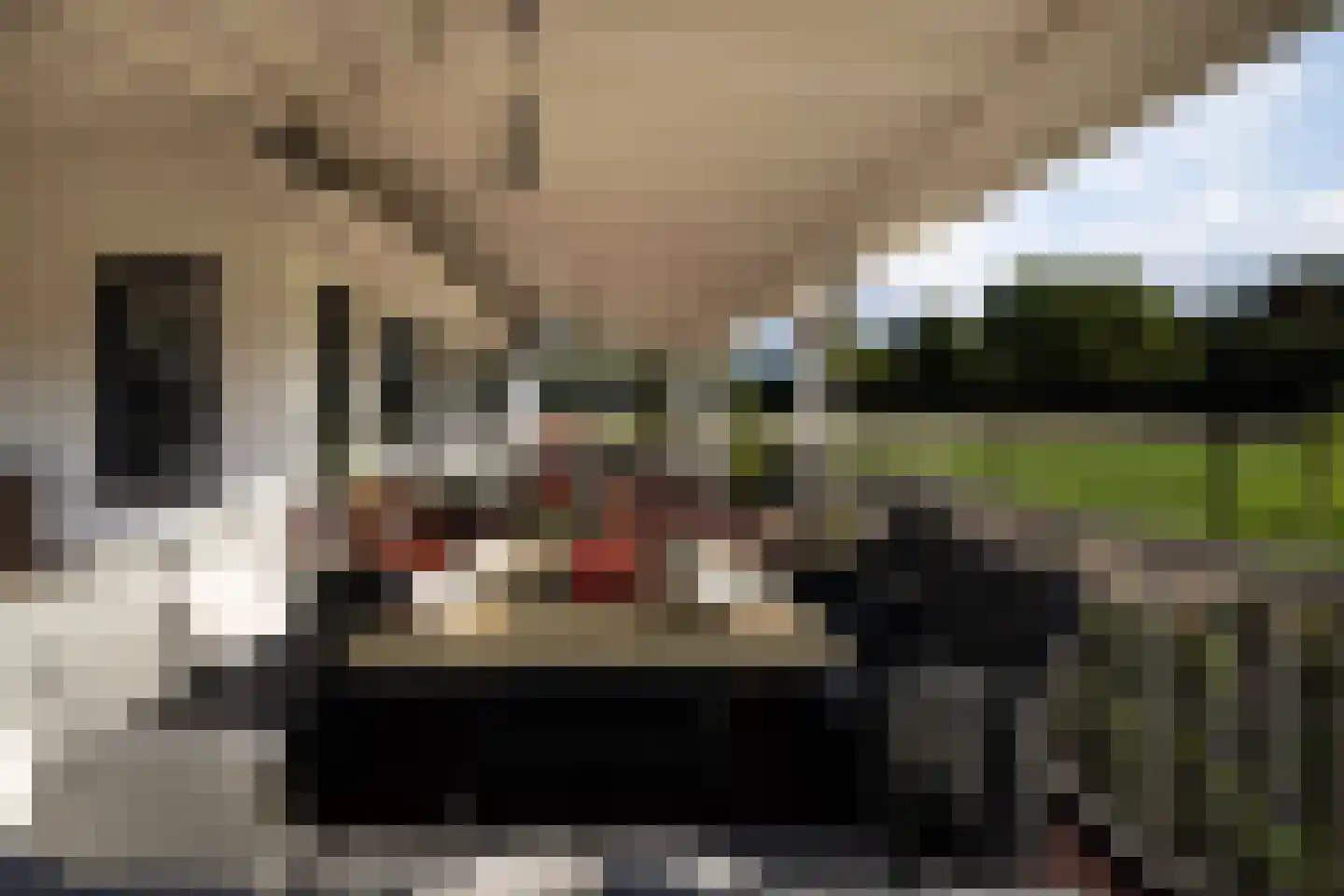 Haarweg 14 Tiendeveen thumbnail 26